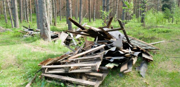 Debris Removal Service in New Port Richey